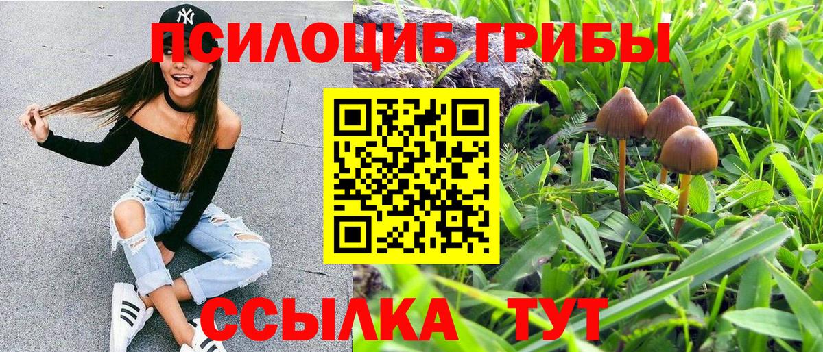 Нурлат  Галлюциногенные грибы ЛСД  Вход с VPN  Галлюциногенные грибы Psilocybine cubensis 